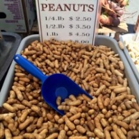 Garlic Roasted Peanuts