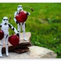 Happy Star Wars Day with Cherries