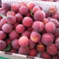 Peaches at Beverly Hills Farmers' Market